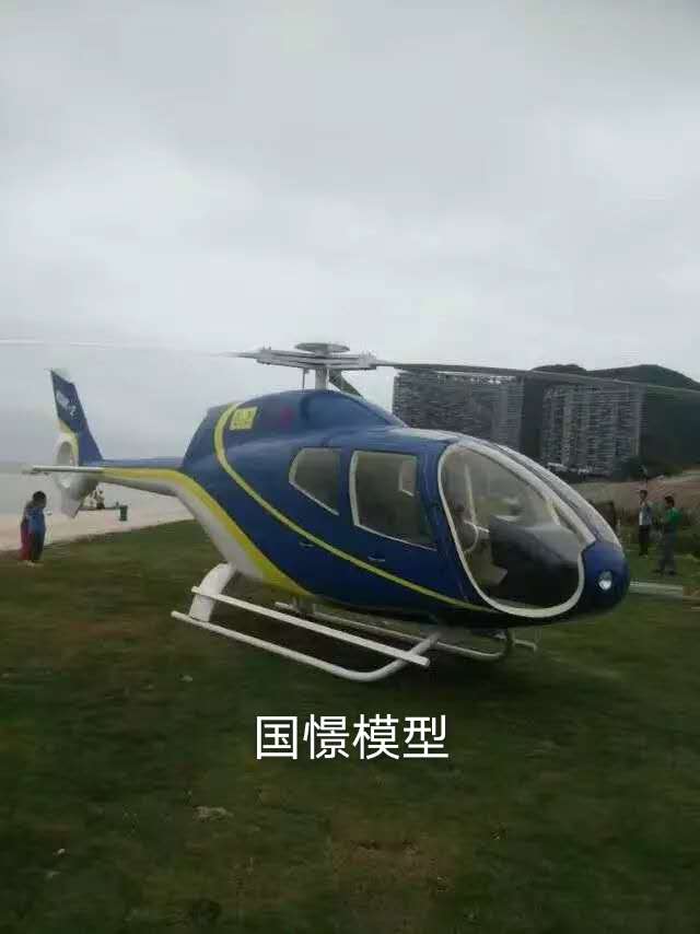 揭西县飞机模型